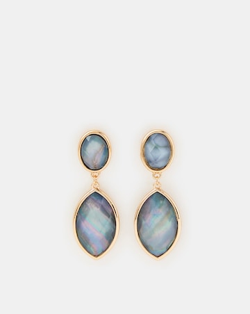 Accessorize Statement Resin Stone Drop Earrings