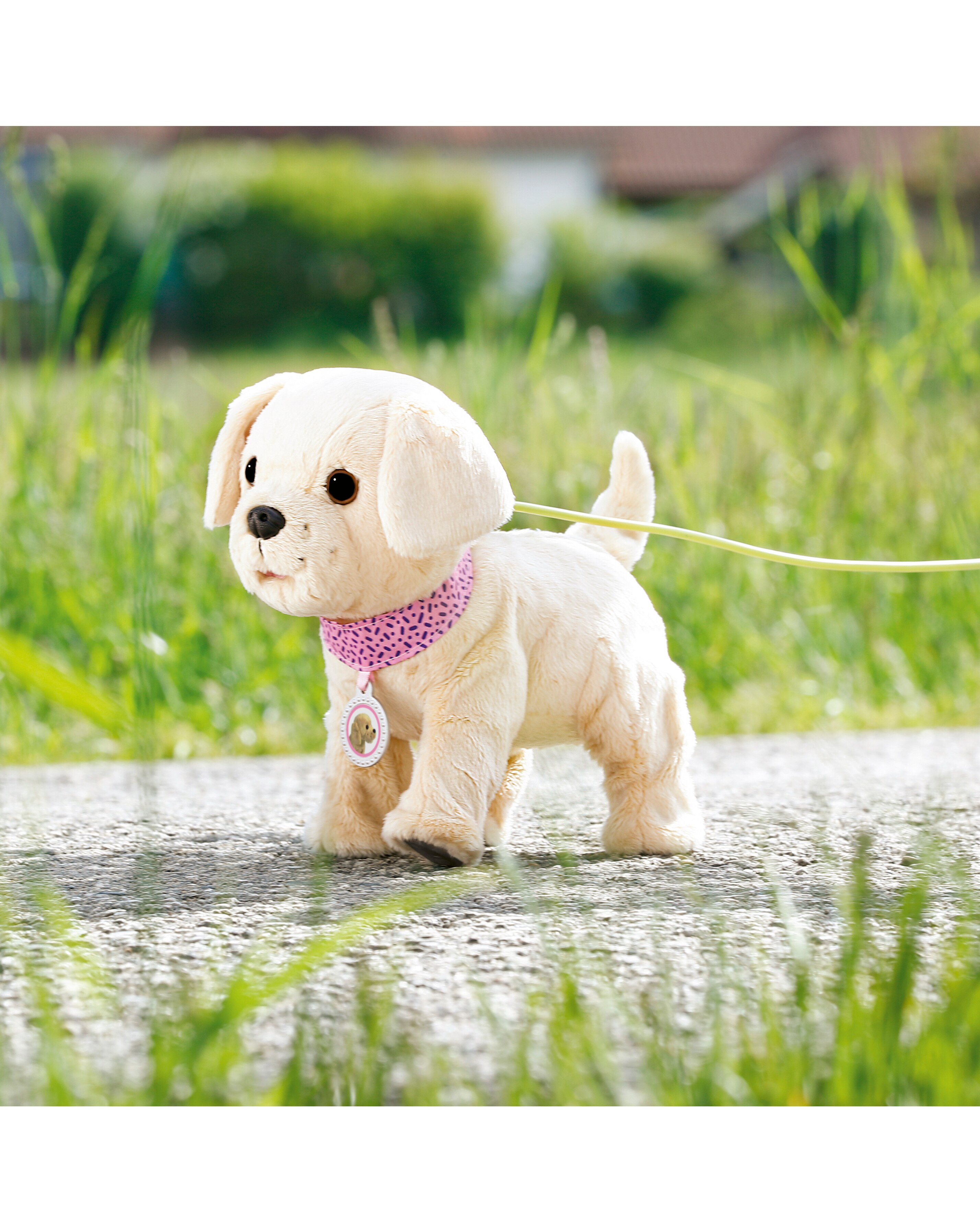 BABY born My Dog Lucky | JD Williams