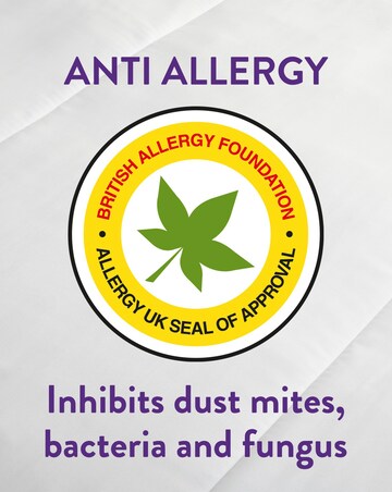 Slumberdown Anti Allergy 4.5 Tog Duvet