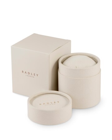 Radley Ladies Polished Silver Square Watch
