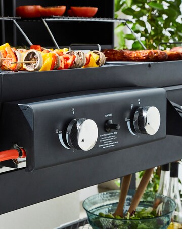 Dual Fuel BBQ with Smoker