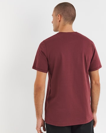 Joe Browns 3 Pack T-Shirt