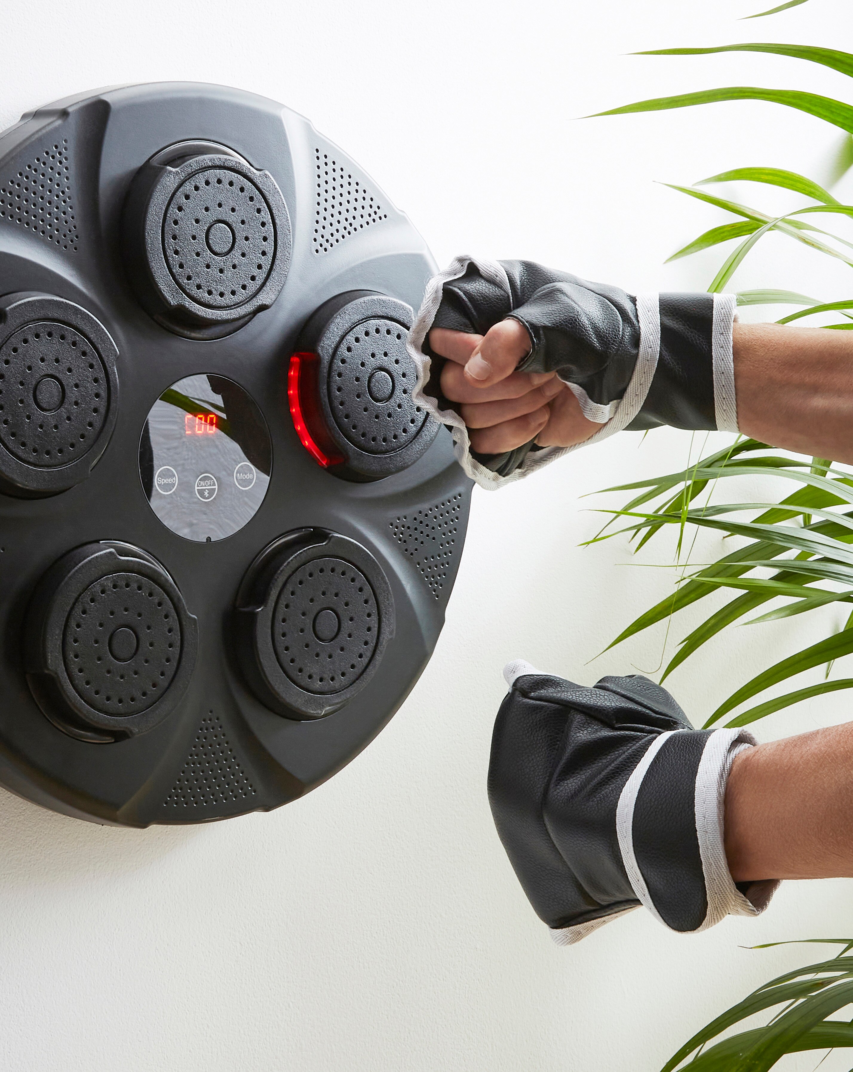 Light Up Musical Boxing Pad | JD Williams