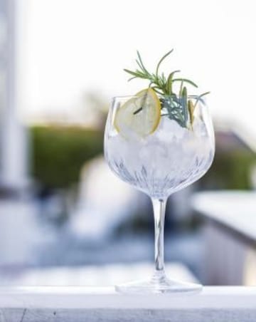 Luigi Bormioli Mixology Set Of 4 Gin Glasses