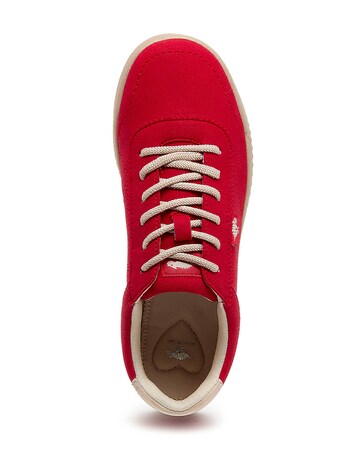 Rocket Dog Bertie Colour Trainers