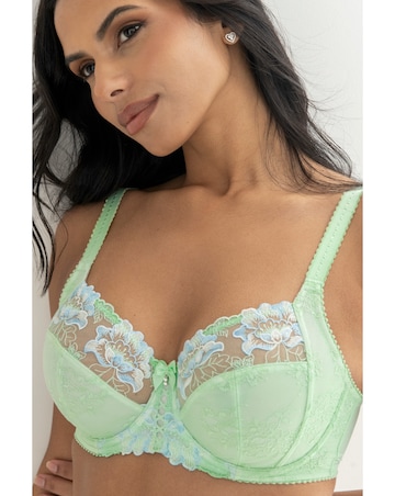 Pour Moi Sofia Full Cup Wired Bra Pistacchio/Blue