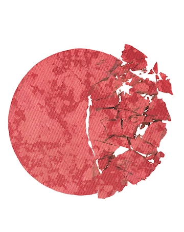 Pur Skin Perfecting Blushing Powder Berry Beautiful