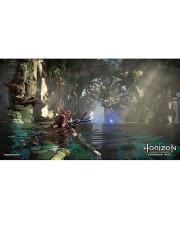Horizon Forbidden West (PS5)