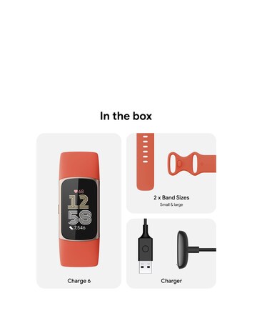 Fitbit Charge 6 Smart Watch Coral / Champagne Gold