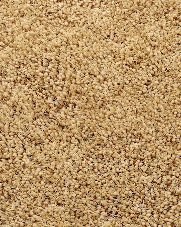 Chicago Light Neutrals Shaggy Rug