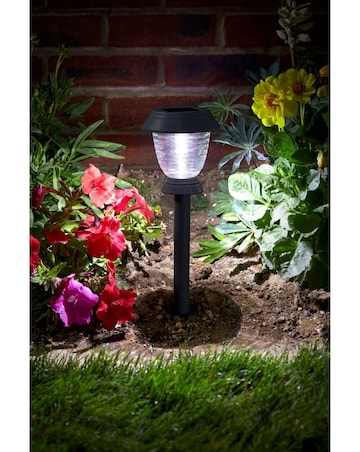 4 Triton Solar Stake Lights