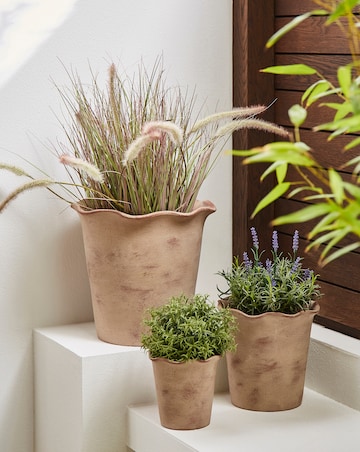 Ivyline Outdoor Ada Scalloped Edge Terracotta Planter - Set of 3