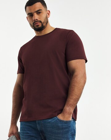 Pure Cotton Crew Neck T-Shirt Long