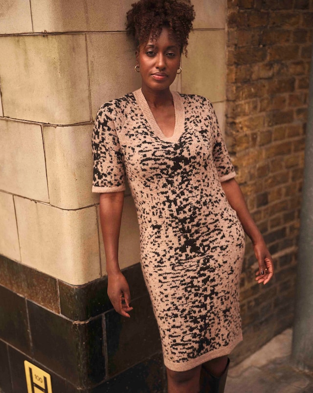 Animal V Neck Dress