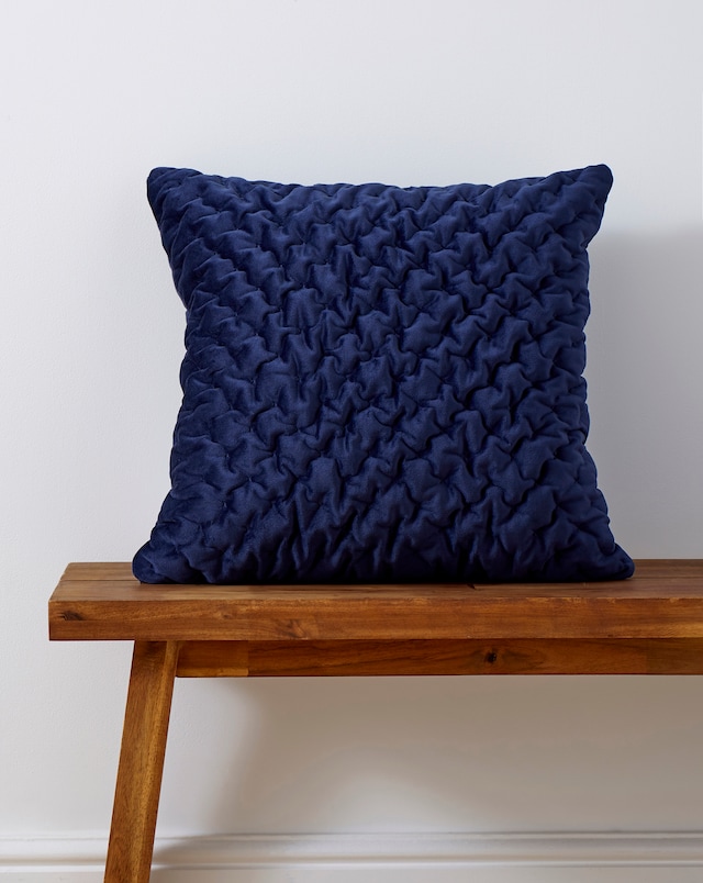 Pinsonic Velvet Cushion