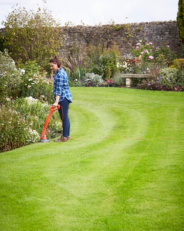 Flymo Mini Trim Straight Line Trimmer