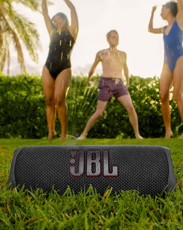 JBL Flip 6 Portable Wireless Speaker - Black