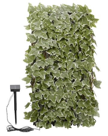 Solar Inlit IvyTrellis