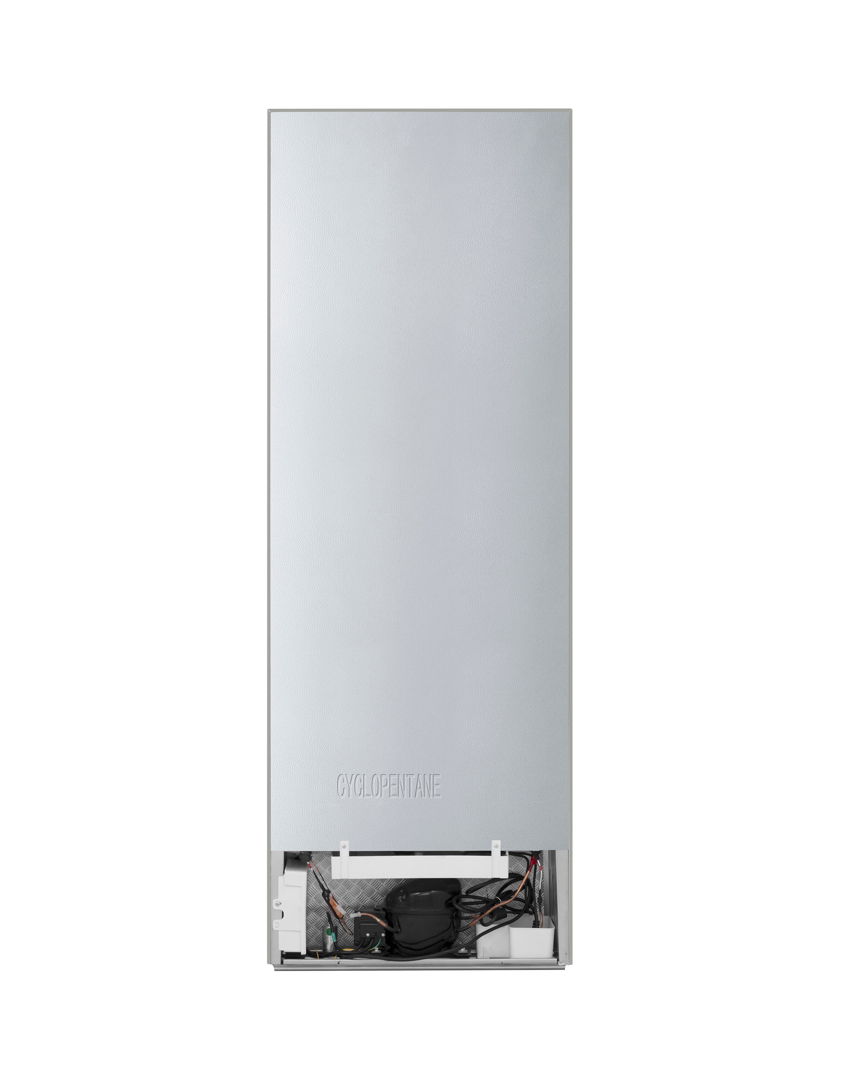 Hisense RL415N4ACE Tall Larder Fridge E Rated | JD Williams
