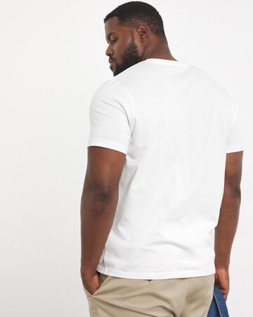 5 Pack Multi V Neck T-Shirts Reg