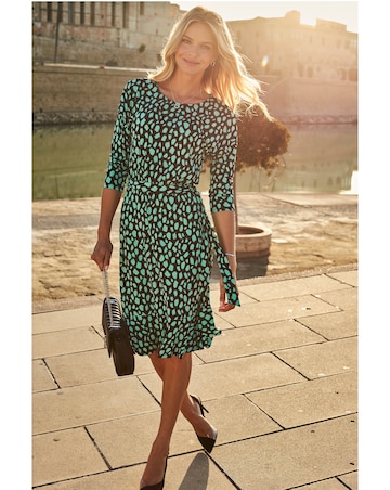 Sosandar Animal Print Ruffle Hem Belted Dress