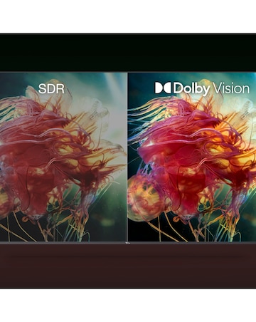 TCL 75In 75RC650K Roku TV Smart 4K Ultra HD HDR QLED TV