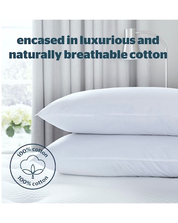 Silentnight Pure Cotton Pack of 2 Pillows