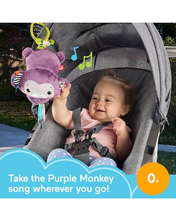 Fisher-Price Sing & Go Purple Monkey