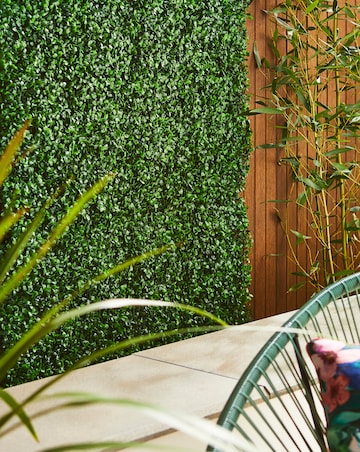 Boxwood Screening Panel 60x40cm