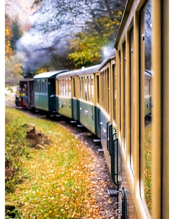 Steam Train Expererience for a Family of Four - Experience Voucher