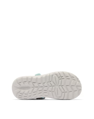 Columbia Peakfreak Roam Sandals