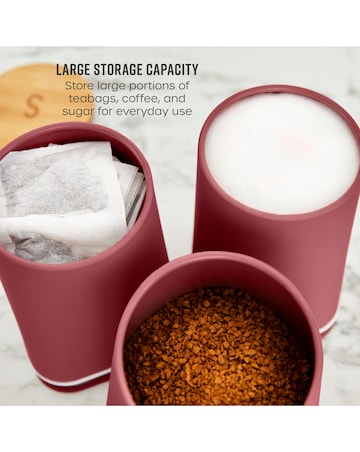 Swan Nordic Set of 3 Canisters Fuschia Rose