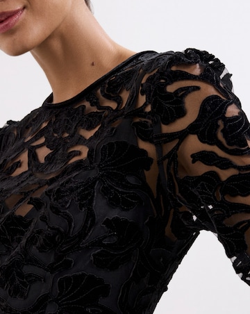 Phase Eight Viktoria Applique Velvet Midi Dress