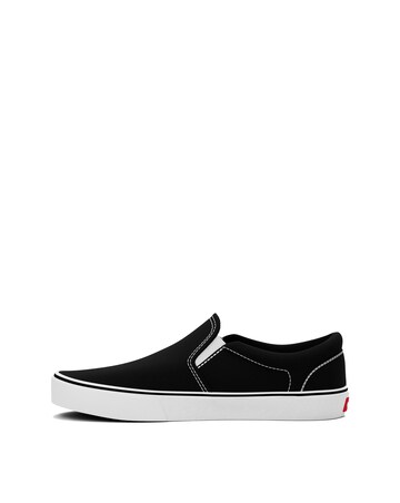 VANS Asher Trainers