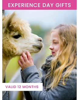 Alpaca Walk for a Family of Four - Experience Voucher