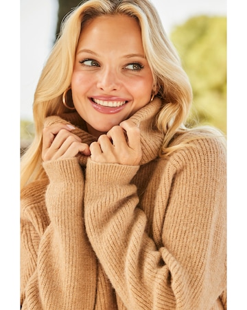 Sosandar Roll Neck Super Soft Knitted Jumper