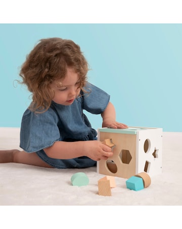 TP Owl & Fox Shape Sorter