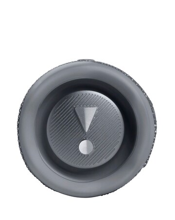 JBL Flip 6 Portable Wireless Speaker - Grey