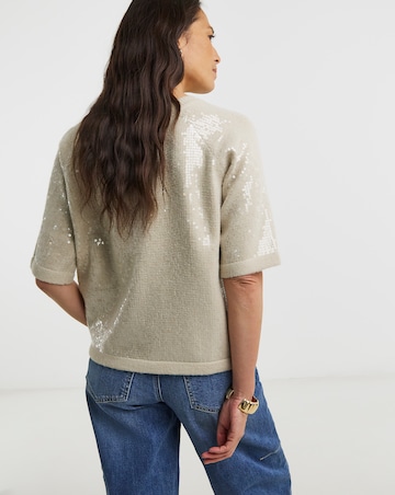 Sequin Short Sleeve Jumper