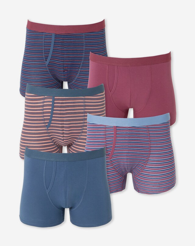 5 Pack Stripe A-Front Boxers