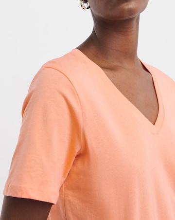 Pure Cotton 3 Pack V-Neck T-Shirts