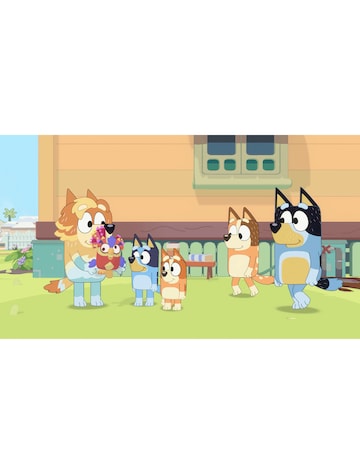 Bluey: The Video Game (Nintendo Switch)