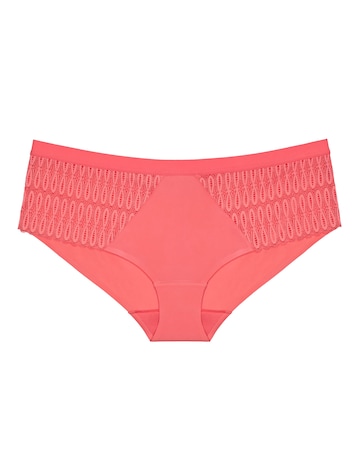 Triumph Aura Spotlight Maxi Briefs