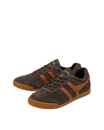 Gola Men's Harrier Trainer - Dark Brown