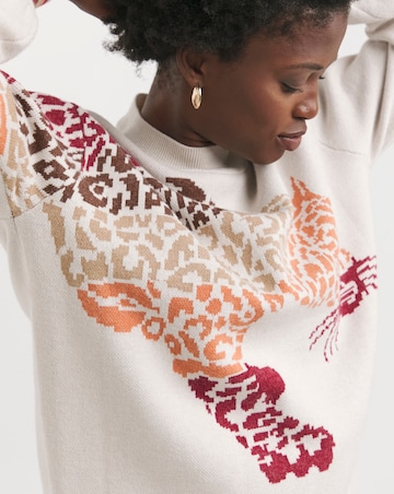 Joe Browns Intriguing Animal Jumper