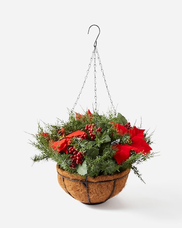 Christmas Poinsettia Hanging Basket
