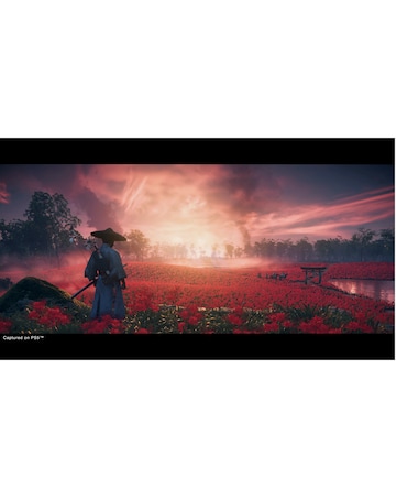 Ghost of Tsushima Director's Cut (PS5)