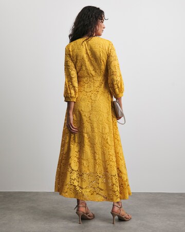 Joanna Hope Stretch Lace Dress