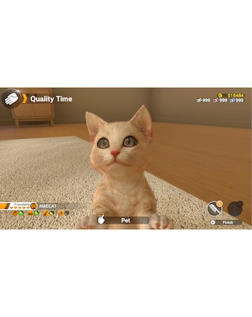 Little Friends: Dogs & Cats (Nintendo Switch)