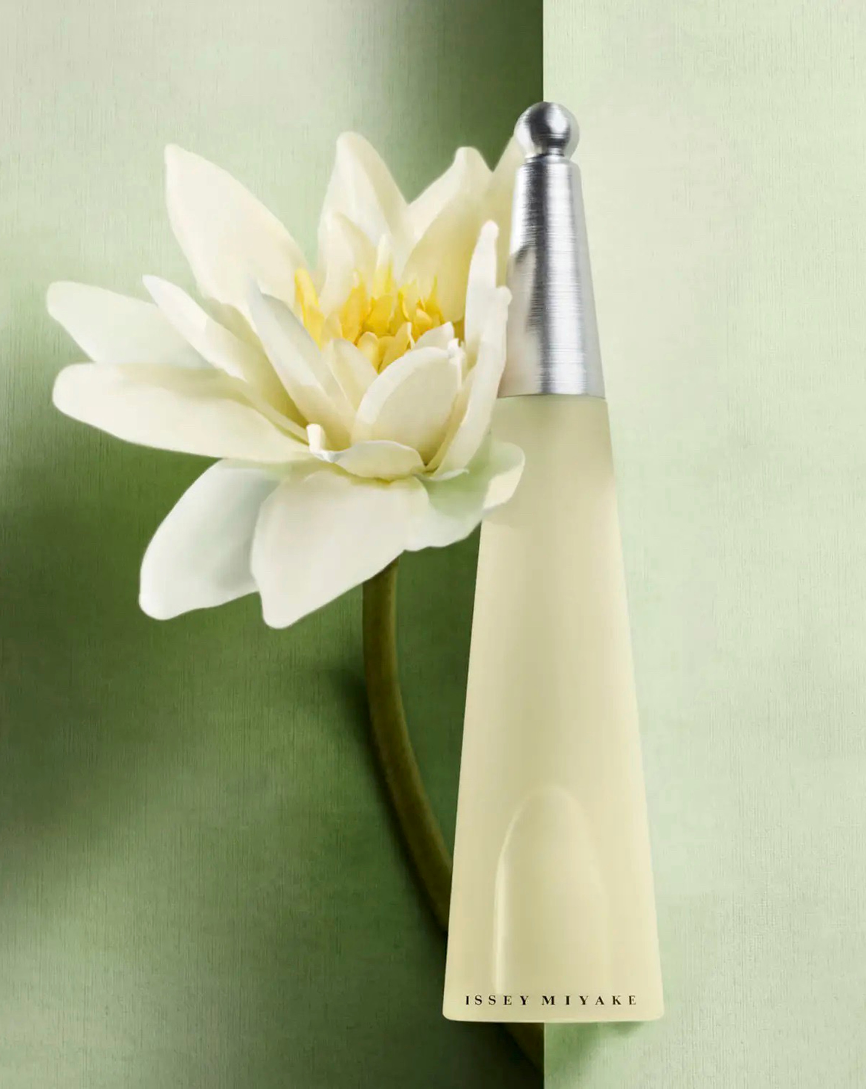 Miyake L'Eau D'Issey Femme Eau De Toilette 25ml | JD Williams
